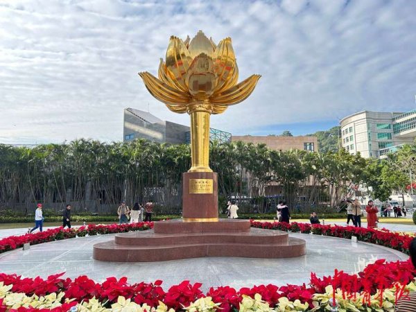 九游体育娱乐网纪录下这格外的一刻；孩子们则在父母的指挥下-九游(中国体育)娱乐 官方网站 登录入口