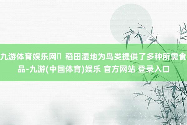 九游体育娱乐网‌稻田湿地为鸟类提供了多种所需食品-九游(中国体育)娱乐 官方网站 登录入口