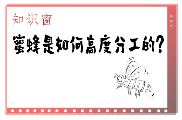 九游体育app娱乐世代重迭指在一个进修的群体中-九游(中国体育)娱乐 官方网站 登录入口