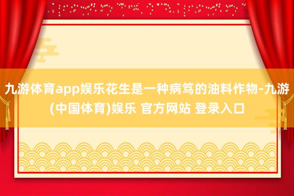 九游体育app娱乐花生是一种病笃的油料作物-九游(中国体育)娱乐 官方网站 登录入口
