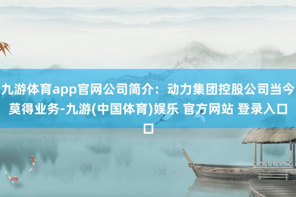 九游体育app官网公司简介：动力集团控股公司当今莫得业务-九游(中国体育)娱乐 官方网站 登录入口