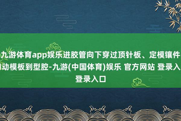 九游体育app娱乐进胶管向下穿过顶针板、定模镶件和动模板到型腔-九游(中国体育)娱乐 官方网站 登录入口