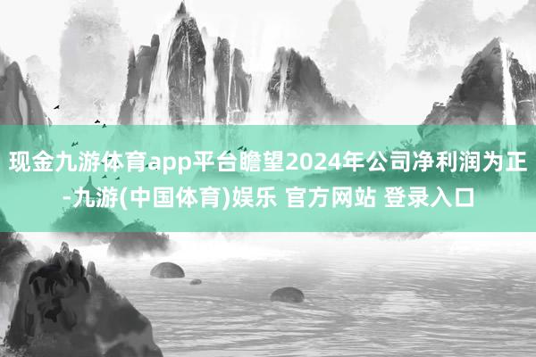 现金九游体育app平台瞻望2024年公司净利润为正-九游(中国体育)娱乐 官方网站 登录入口